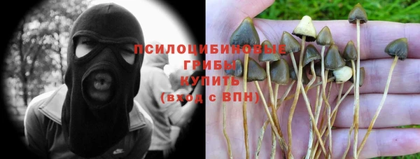 гидропоника Арсеньев