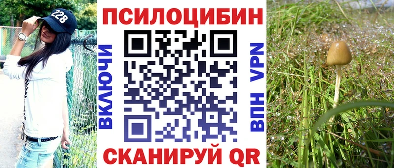 Псилоцибиновые грибы Cubensis  кракен вход  Курган  дарнет шоп 