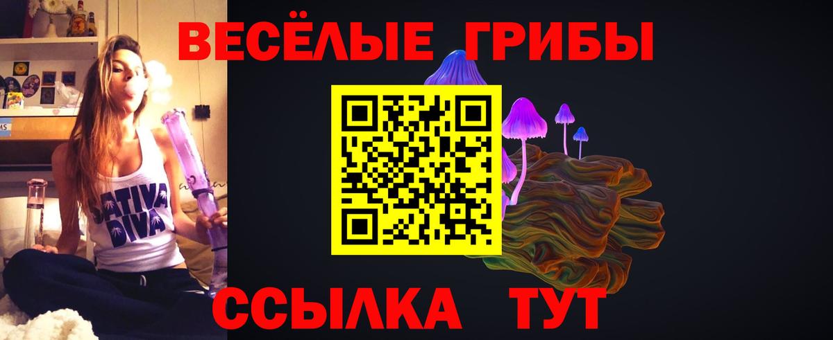 Псилоцибиновые грибы GOLDEN TEACHER Курган